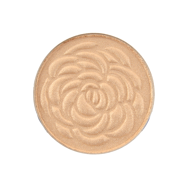 Shine On Metallic Pan